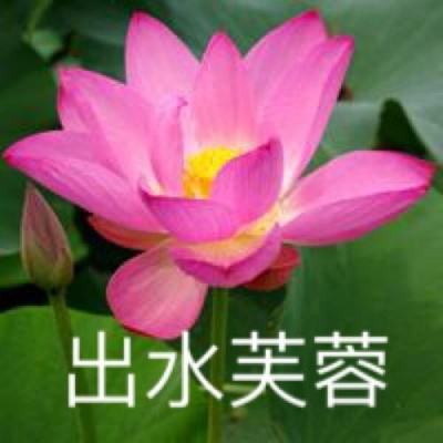 口袋战争天降奇兵破解版下载